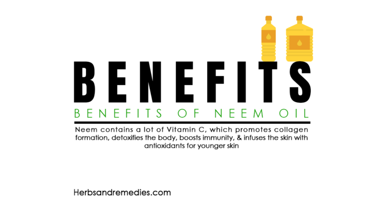 Neem Oil: Benefits and Uses