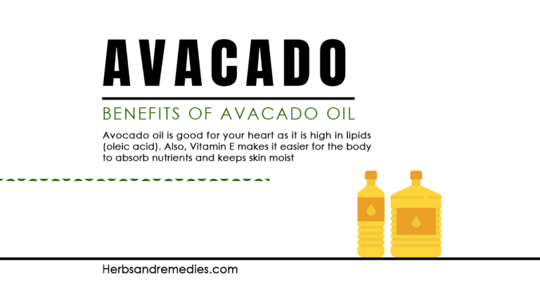 Avocado Oil: Is It Good For You?