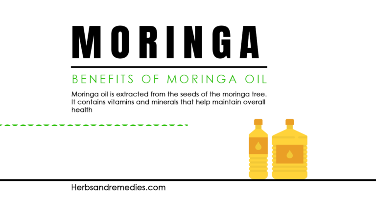 Benefits of Moringa Oil : How to use  Moringa Oil